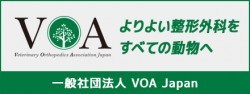 VOA Japan