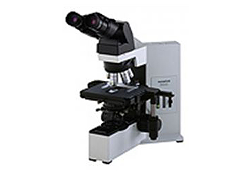 顕微鏡 (オリンパスBX40)